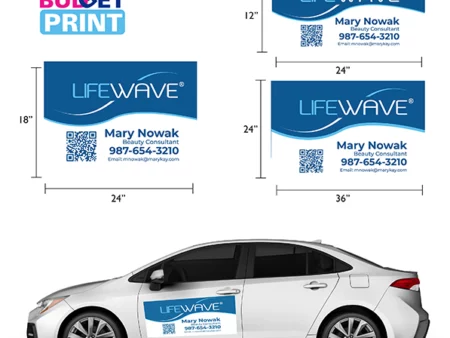 Lifeway Car Magnets for consultants