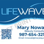 Lifeway vehicle Magnet for consultants 24x36