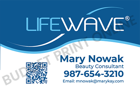 Lifeway vehicle Magnet for consultants 24x36