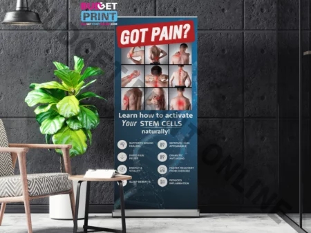 Got pain lifewave Banner