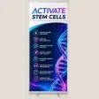 Activate Stem Cells Retractable Banner